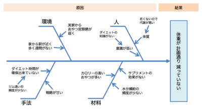 cause effect diagram